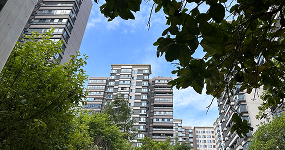 ICP域名备案查询系统