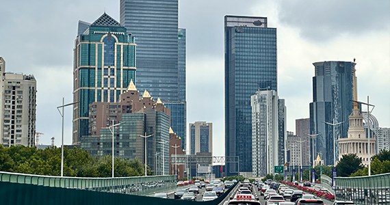 apdvip2021域名查询