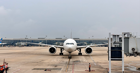 怎么查询网站域名是否注册