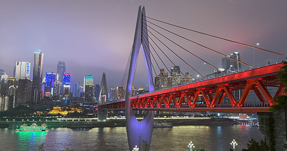 IP域名解析查询